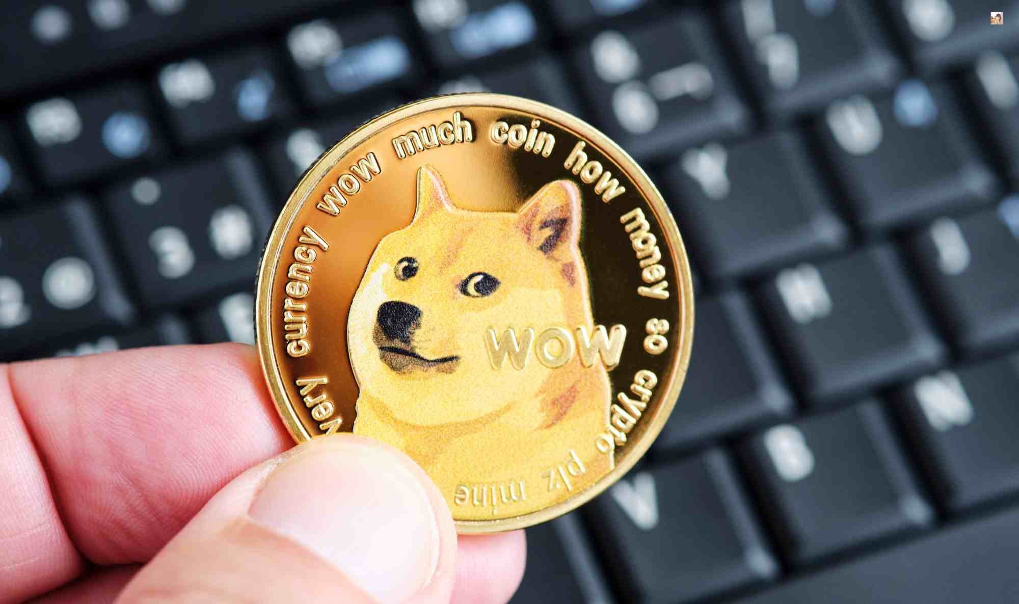 Dogecoin Price Crash: Is This the “Last Shakeout” Before Breakout?