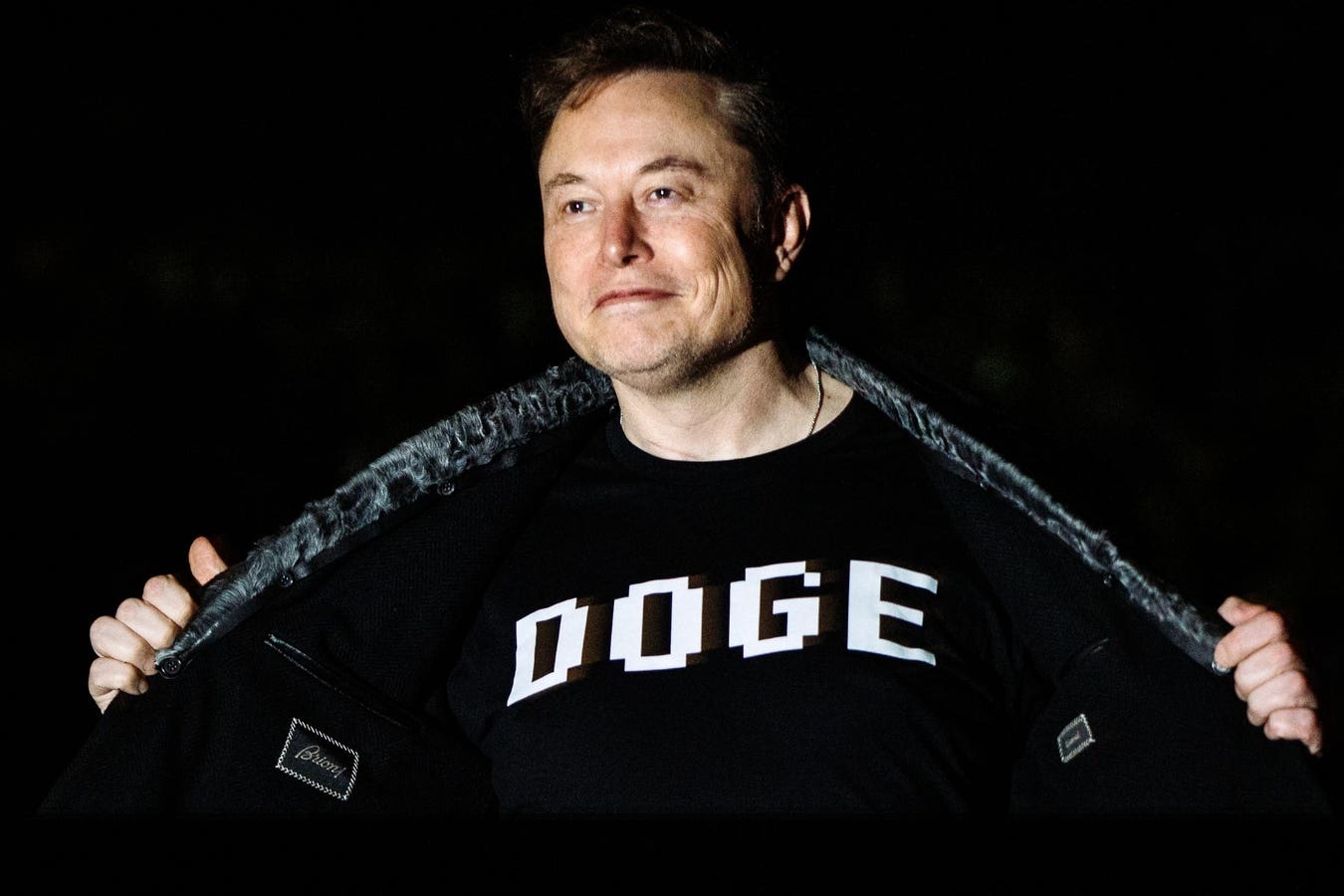 ‘Only Doge’—Elon Musk Quietly Signals Crypto Support Amid $4.2 Trillion Bitcoin And Ethereum Price Boom
