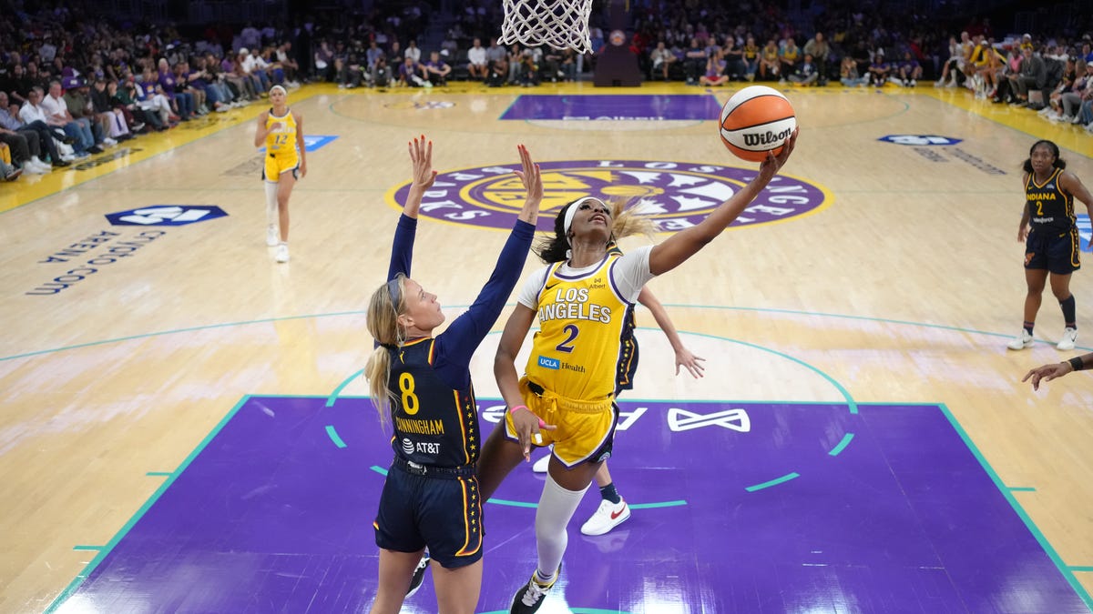 WNBA sex toy ‘pranks’ planned by crypto meme coin group as protest