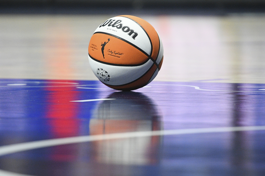 What the dildo-throwing trend at WNBA games can teach us