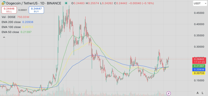 Dogecoin Sparks Meme Coin Surge as $SOL Passes $200 – Could Maxi Doge Ride the Wave?