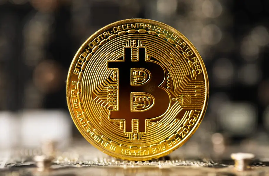 Top 20 Companies That Accept Bitcoin Payments In 2025