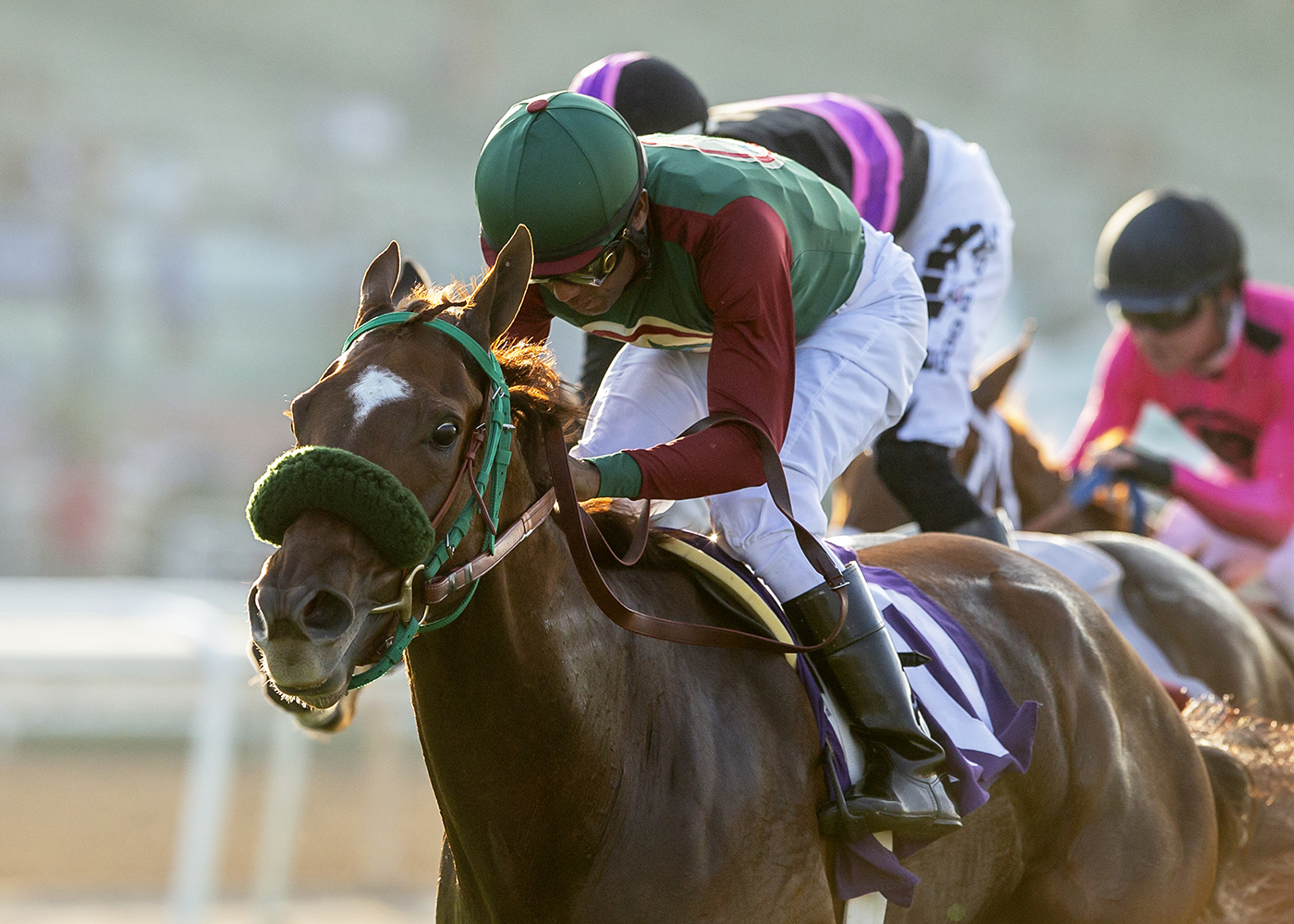 Fillies, Mares Will Battle in Solana Beach Sunday