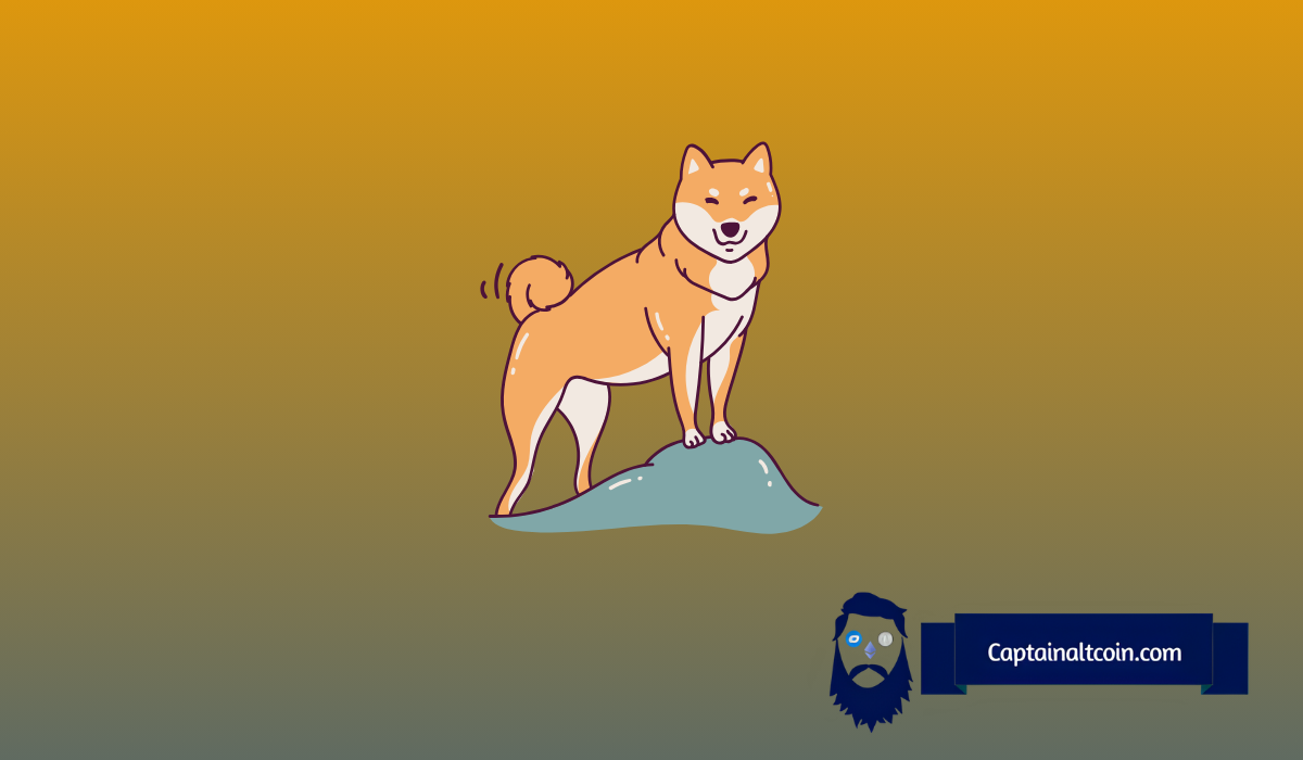 How to Be Early to the Next Meme Coin Explosion: Lessons from PEPE and DOGE