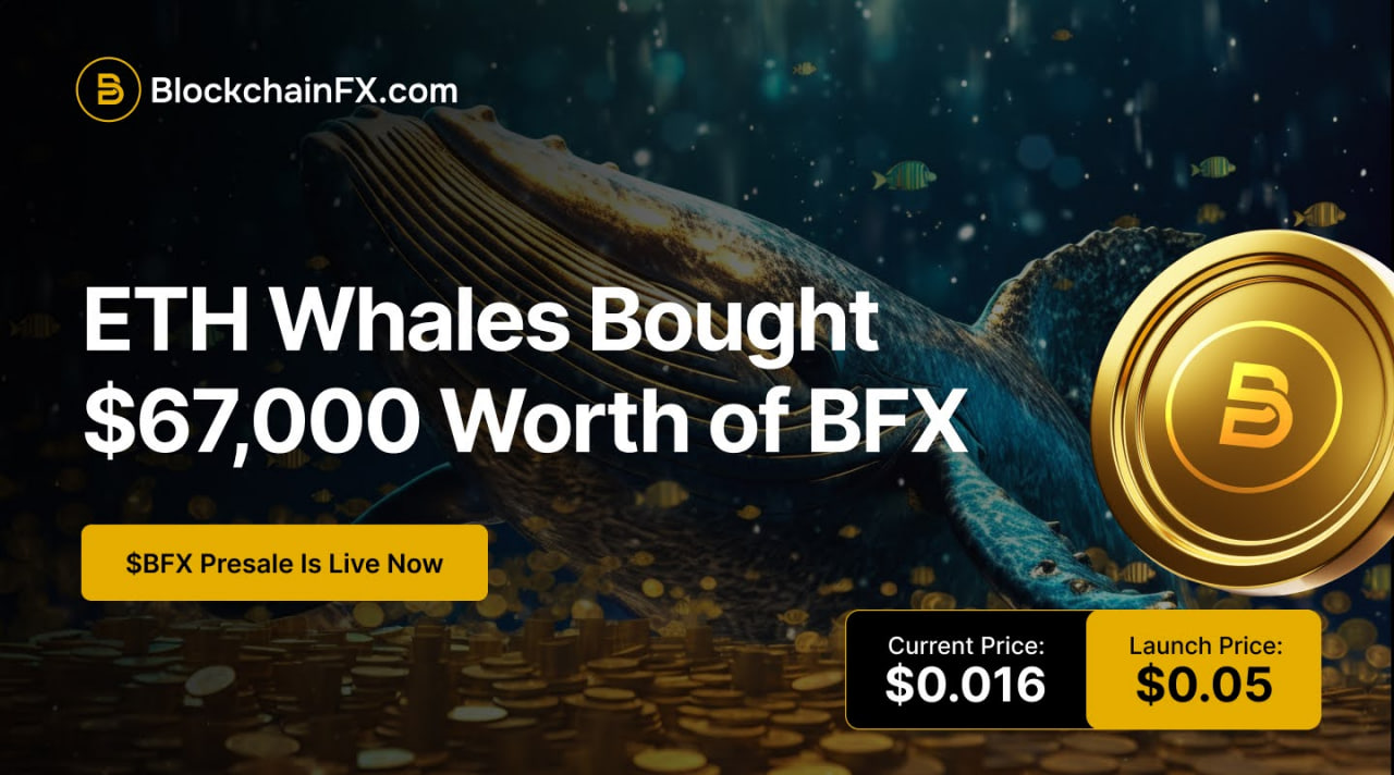 The Best Crypto to Buy for Long-Term Wealth and 100x Gains