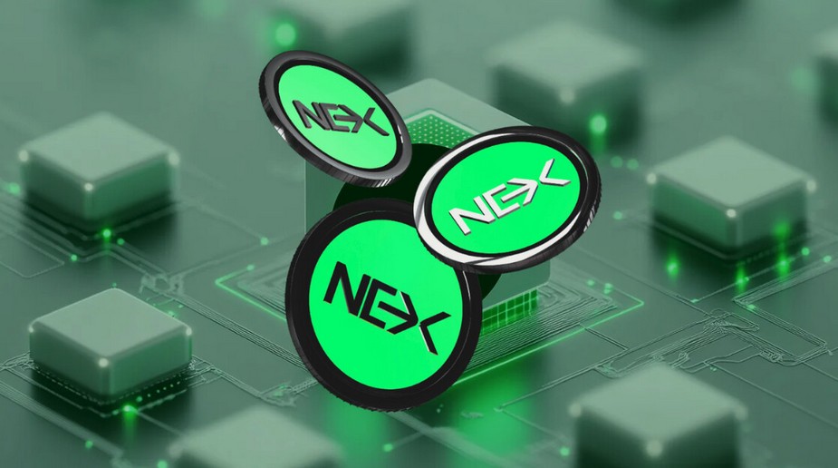 PepeDollar, WeWake Finance, Snorter, & Nexchain With Airdrop Rewards