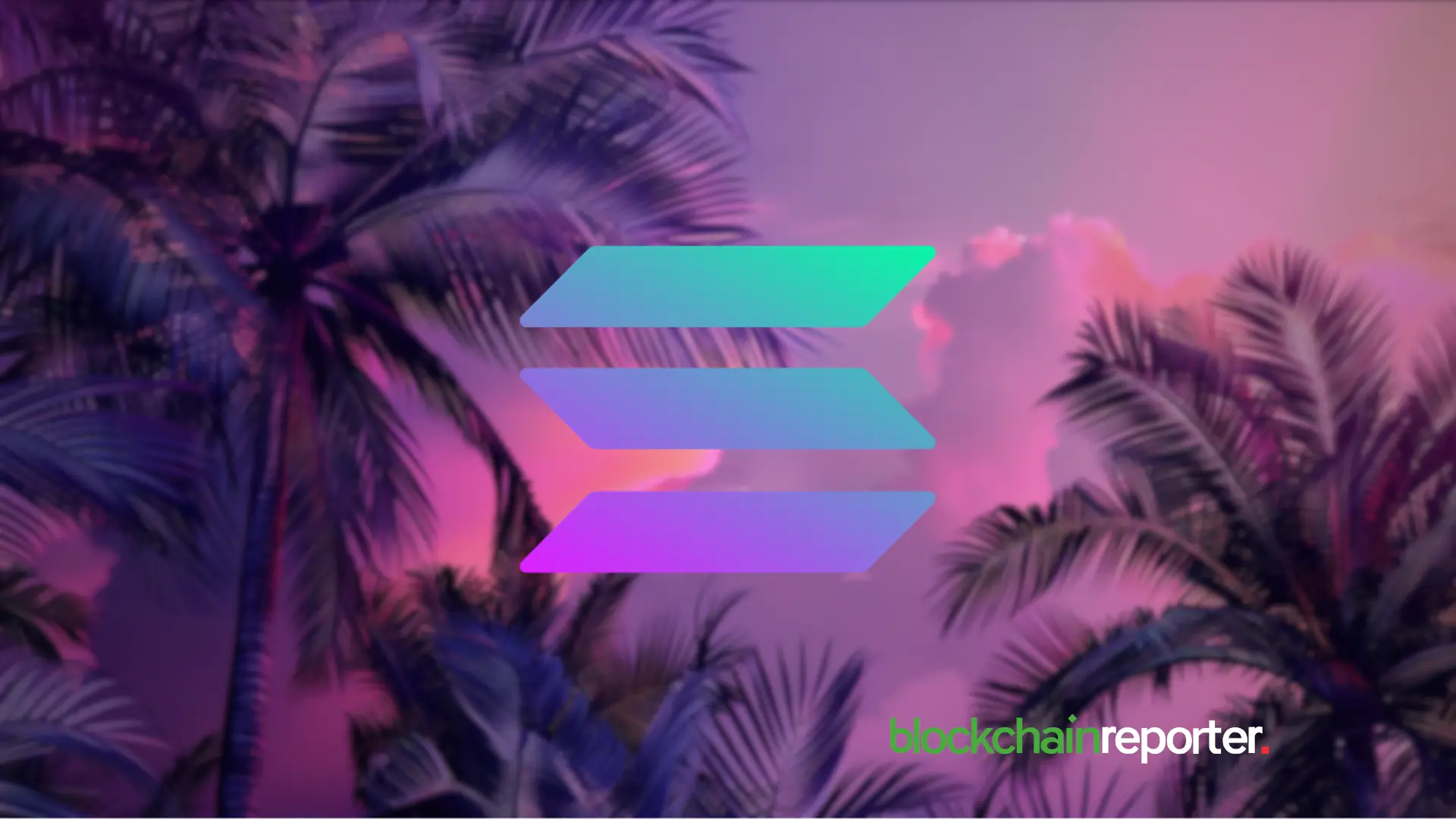 Solana Meme Coins BONK, Dogwifhat, Pengu All Plateau — Is RTX Poised To Be The Next 1,000% Winner